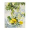 Stupell Industries Fresh Kitchen Lemons Spread Canvas, design by Annabelle Hall